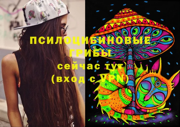 наркотики Алексин