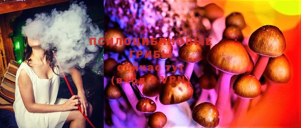 мяу мяу мука Абдулино